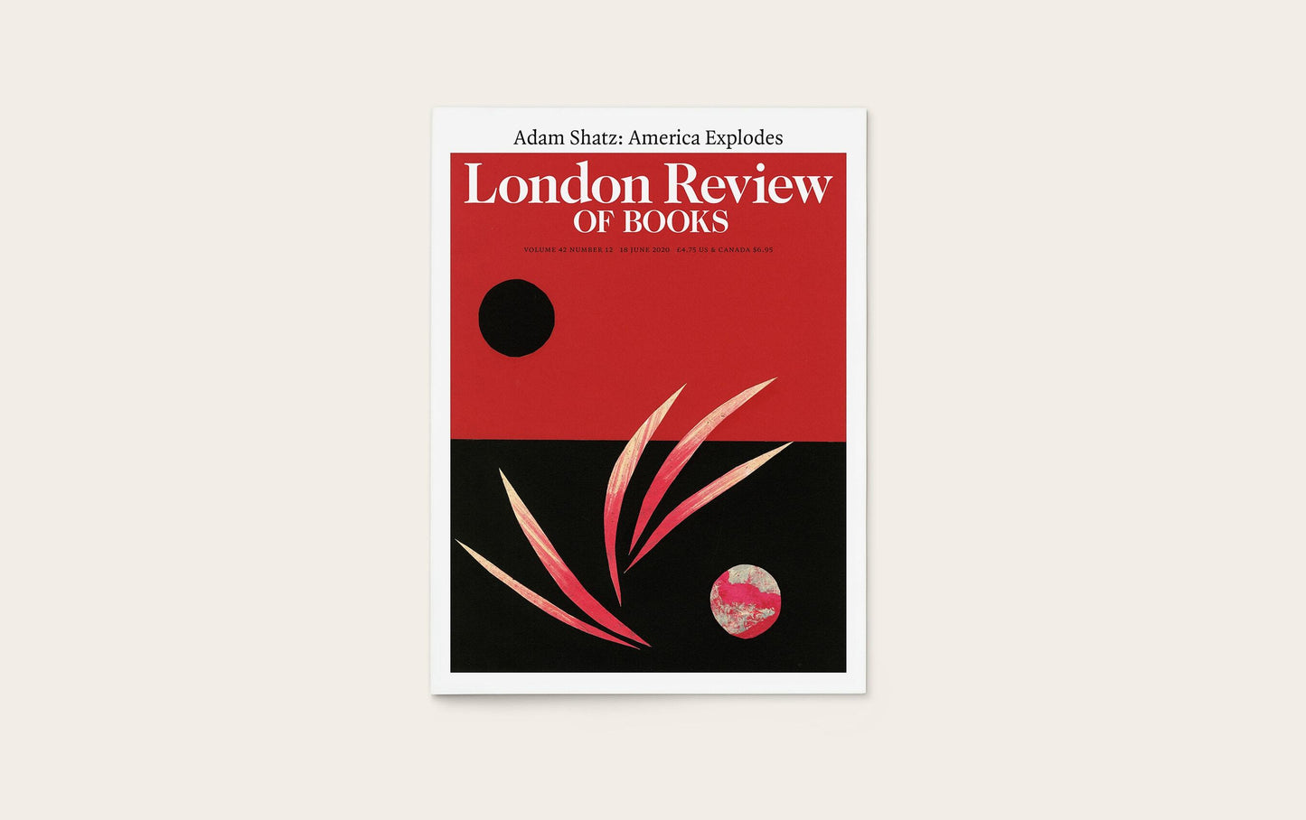 LRB Back Issues: 2020